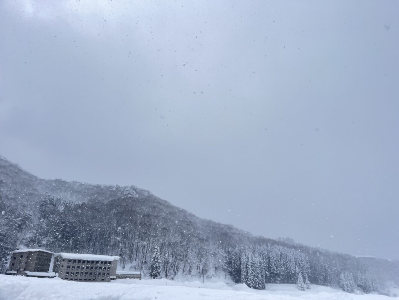 スキーツアーのお申し込み